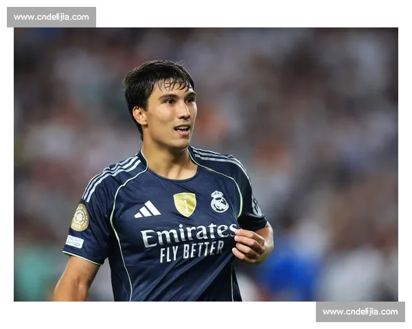 皇马 7 月转会双响:A 费加盟在即,新 9 号位悬念系于贡萨洛状态 皇马 7 月转会双响:A 费加盟在即,新 9 号位悬念系于贡萨洛状态